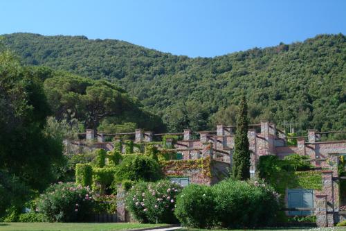 appartamento Isola d'Elba